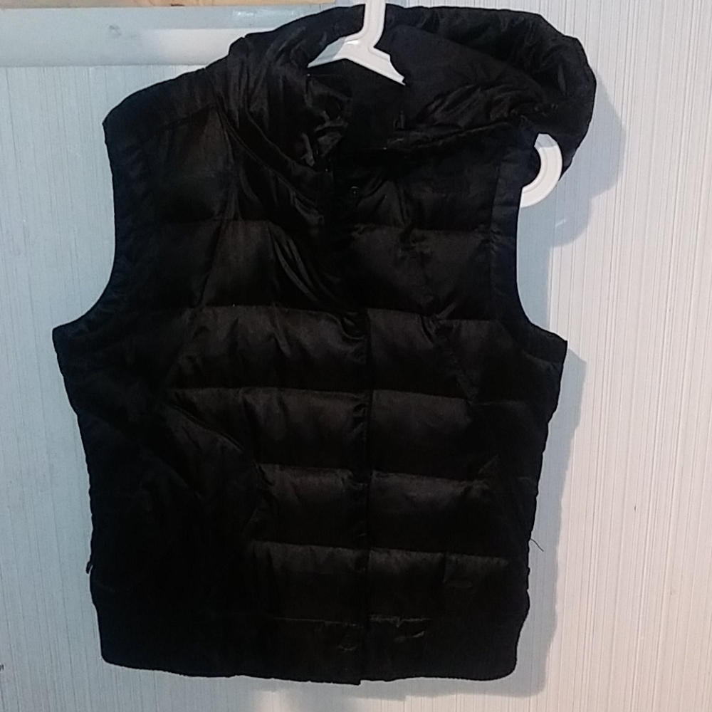 The north face vest